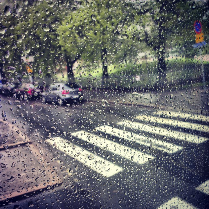 rainy_crosswalk
